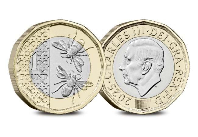 2025 Bee Definitive £1 Circulated Coin
